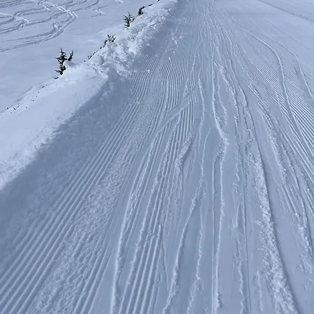 Lägenhet 4 Personnes Aux Pieds Des Pistes, Ariege Ustou