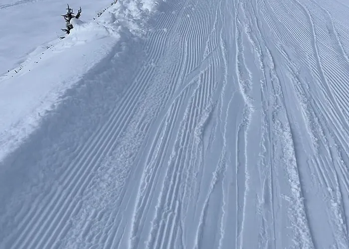شقة 4 Personnes Aux Pieds Des Pistes, Ariege Ustou